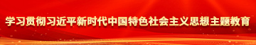 插插黄片学习贯彻习近平新时代中国特色社会主义思想主题教育